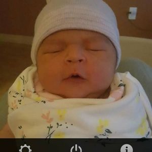 Meet your Posher, Darcy